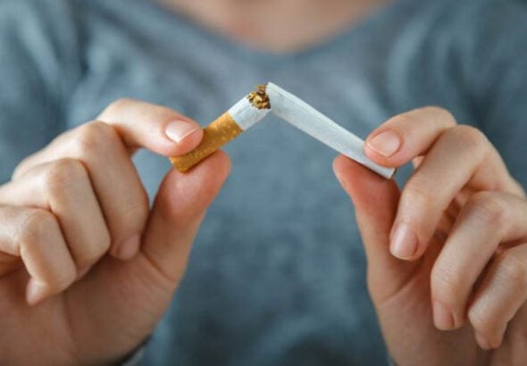 Cigari