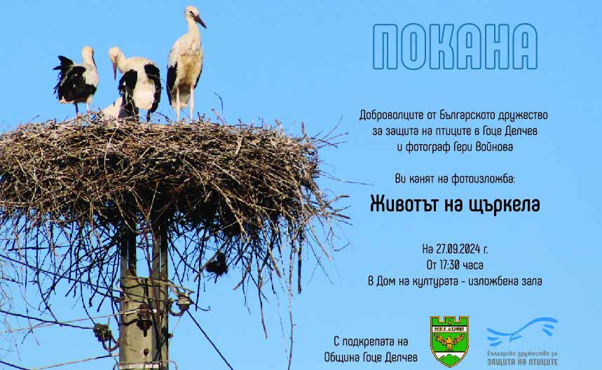 Izlojba Goce D
