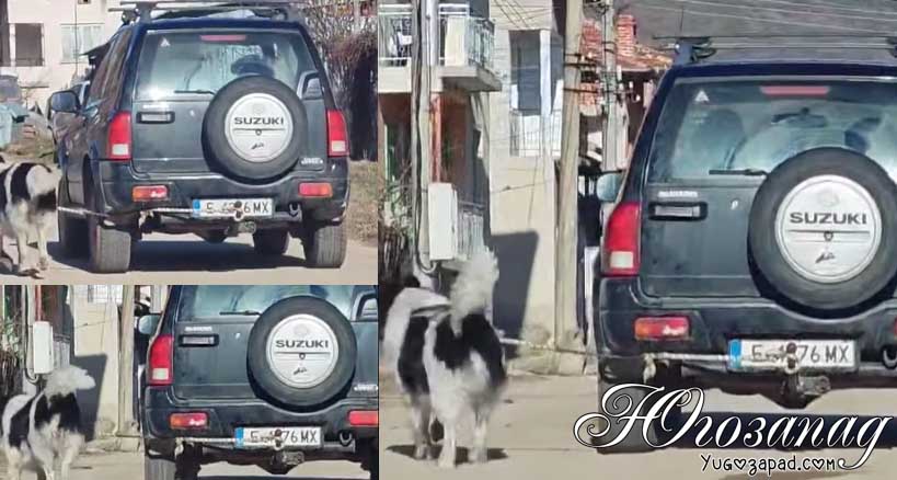 Kuche - Katunci