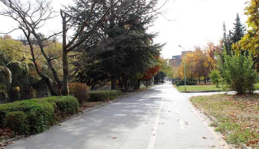 Remont