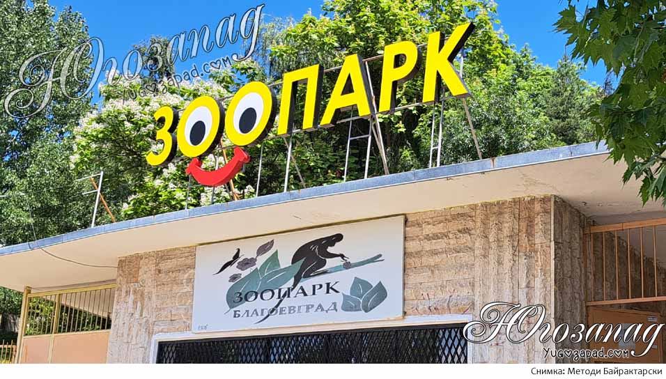 Zoo Bl