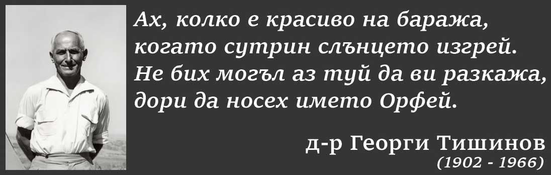 Tishanov