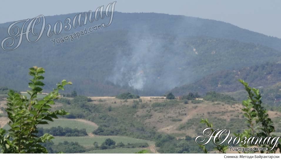 Palatovo pojar