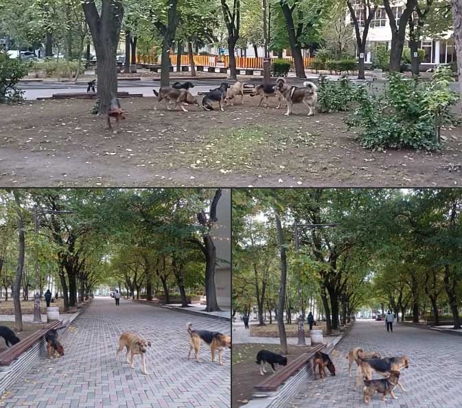 Kucheta