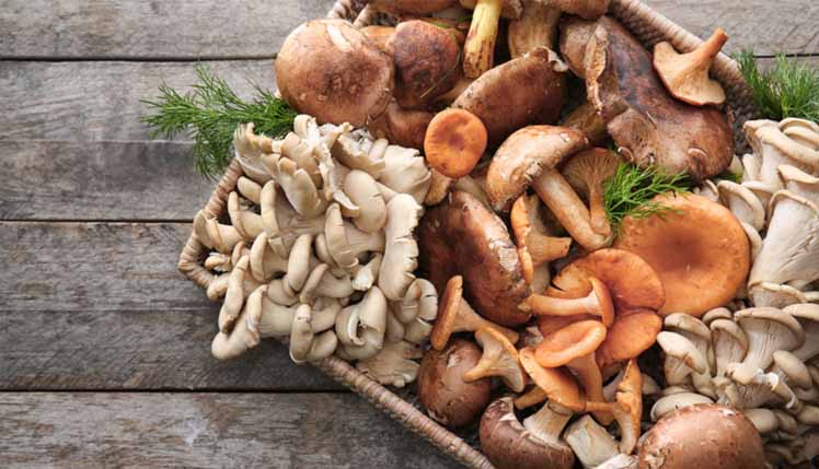 Mushrooms