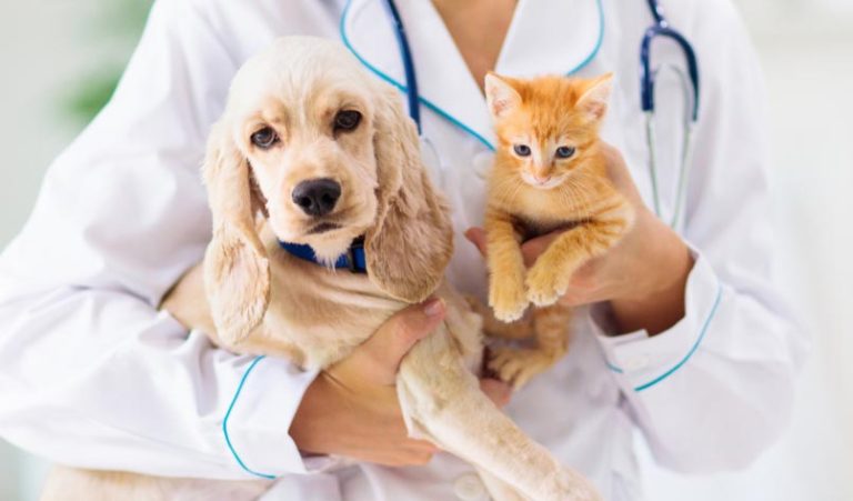 Dr