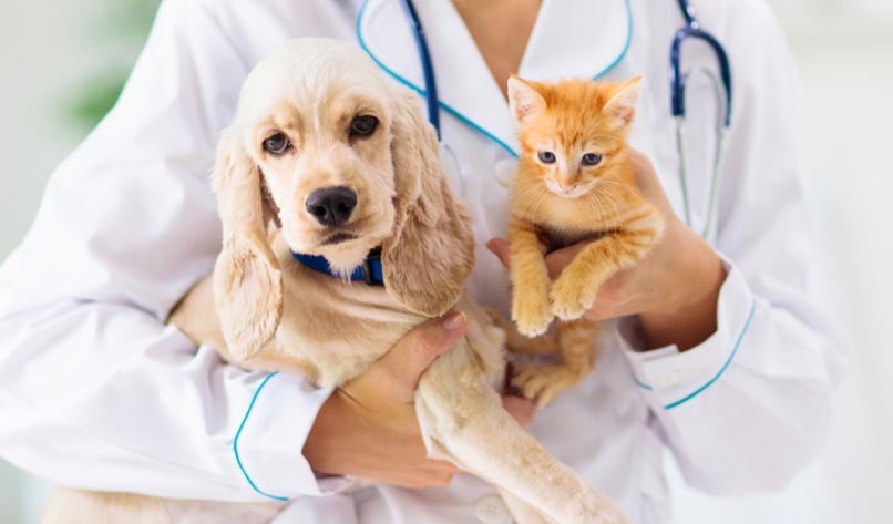 Dr
