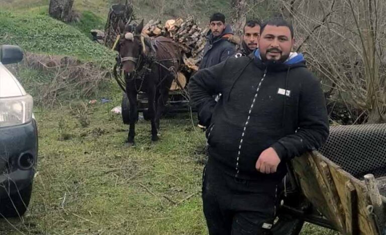 заловиха бракониери при незаконен добив на дървесина