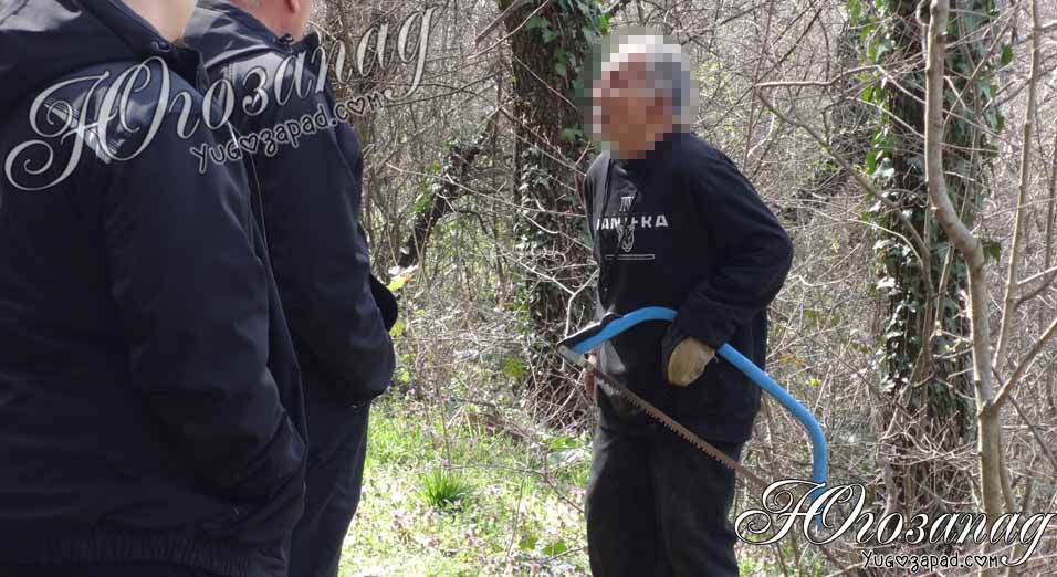 Заловиха мъж с трион, рязал дървета в парк „Ловен дом“