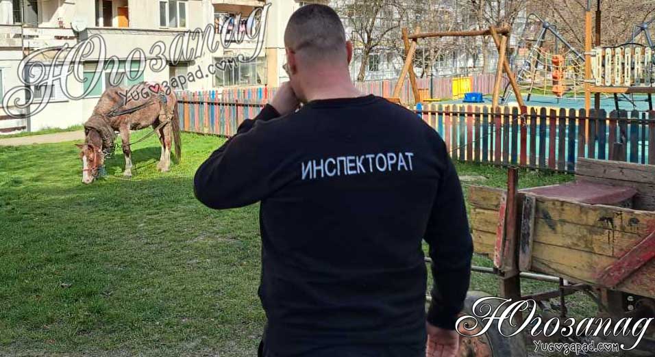 Бърза реакция на Общинския инспекторат в Благоевград след сигнал от жители на кв. „Струмско“