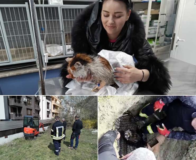 Драматична акция в Благоевград: спасиха котка, заседнала в тръба