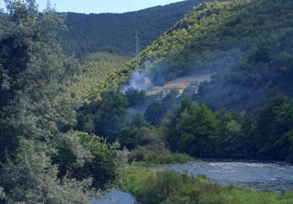 Pojar