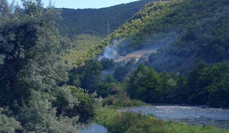 Pojar