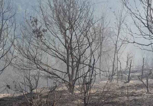 Пожар изпепели около 90 декара гора между Скребатно и Балдево