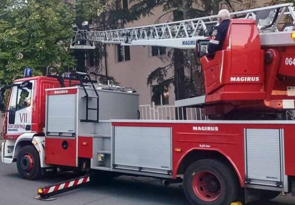 Рояк пчели бе обезопасен и преместен от двора на Дома за стари хора в „Струмско“