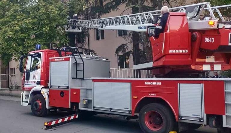 Рояк пчели бе обезопасен и преместен от двора на Дома за стари хора в „Струмско“